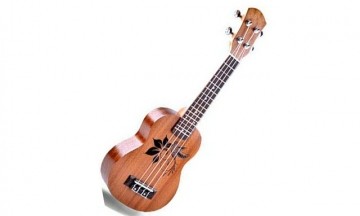 Lịch sử ra đời và quá trình phát triển của cây đàn Ukulele