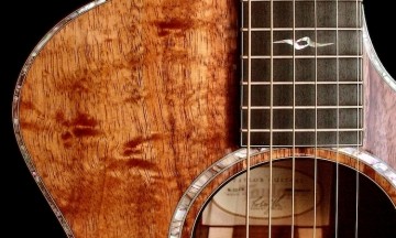 Guitar Là Gì ? Các Thể Loại Guitar Cơ Bản 