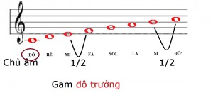 Gam trong âm nhạc là gì? Nhận biết gam của một bài hát