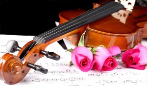 Đàn Violin cao cấp của thương hiệu nào tốt nhất