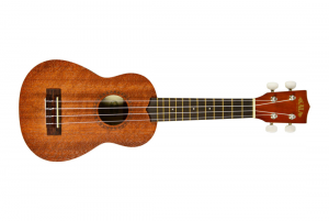 Những thương hiệu Ukulele được ưa chuộng nhất