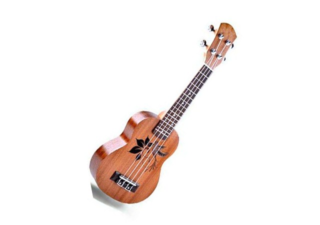 Lịch sử ra đời và quá trình phát triển của cây đàn Ukulele